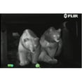 thumbnail image 5 of FLIR Scout III 640 30Hz 640 x 480 Video Night Vision Imaging Thermal Monocular, 5 of 10