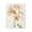 Peach Orchid Watercolor Bloom, variant on Stupell Industries Transitional Peach Orchid in Bloom Black Floating Frame Canvas Art, 17 x 21, by Victoria Barnes