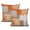Orange (49), variant on Contemporary Throw Pillow Covers 16x16inches Brown Grey Beige Orange Abstract Painting Throw Pillow Cases Set of 2 Modern Home Pillowcases for Couch Sofa Bed Chair