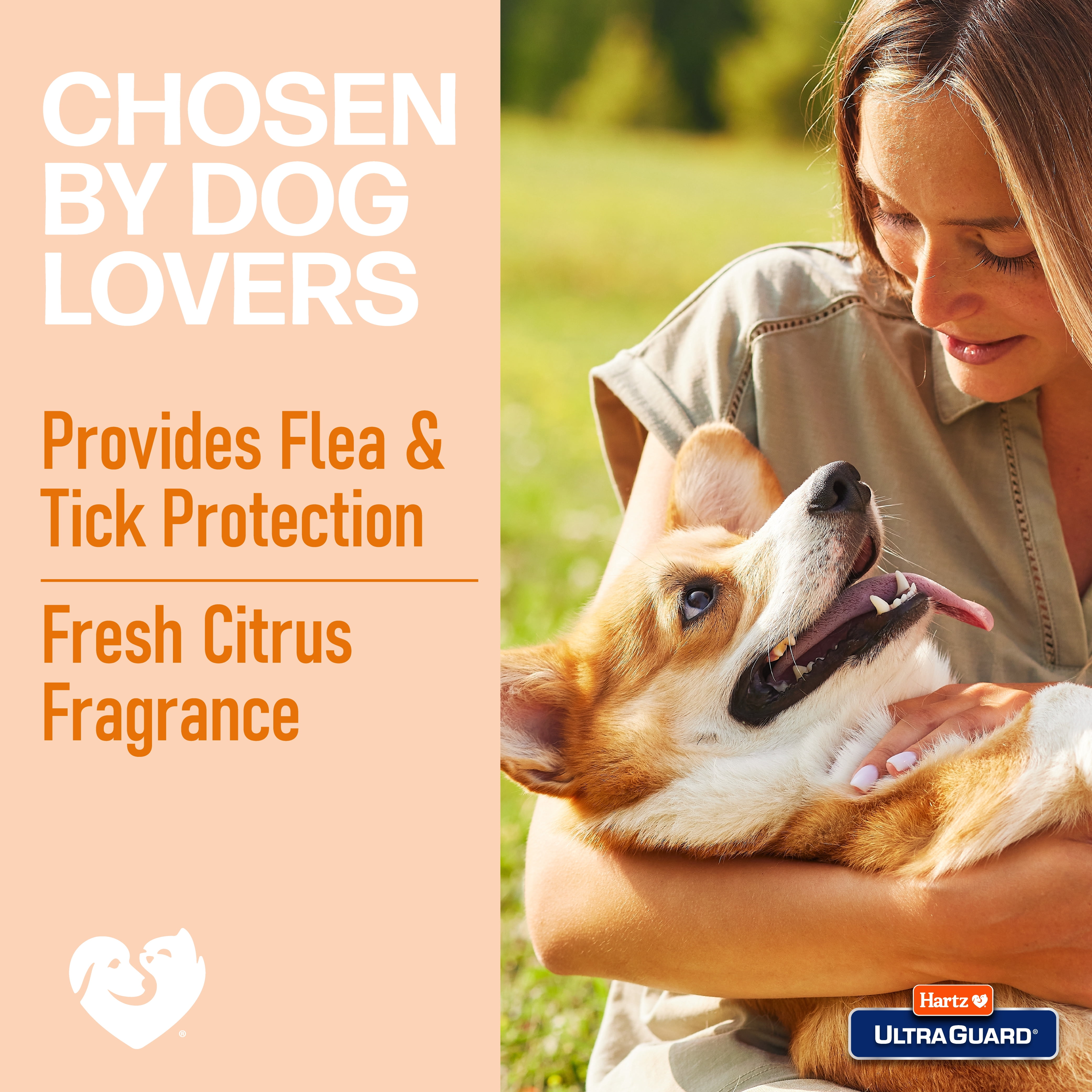 (4 pack) Hartz UltraGuard Citrus Flea & Tick Dog Shampoo, 18 fl oz
