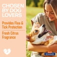 thumbnail image 5 of Hartz UltraGuard Citrus Flea & Tick Dog Shampoo, 18 fl oz, 5 of 6