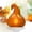 AF, variant on Resin Pumpkin LED Light - 14 Inch Open-Mouth Style AF - Glowing Jack-O'-Lantern Decor for Halloween or Thanksgiving Display