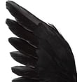 thumbnail image 3 of XY Fancy Halloween Raven Decor 6in Fake Crows Realistic Black Birds Ornaments for Halloween Props Indoor Outdoors Party Decoration, 3 of 6