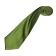 thumbnail image 2 of Premier  Adult Colours Satin Tie, 2 of 2
