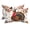 White, variant on Fall Turkey Outdoor Pillows for Chaise Lounge Chair Beach Headrest Pillow Set of 2 Waterproof Lumbar Pillows with Insert&Strap Vintage Thanksgiving Pumpkin Maple Leaf Pillow for Patio Pool 12"x20"