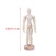 thumbnail image 2 of Wooden Joints Person Decorative Model Photo Prop Wood Craft Groceries Household Bedroom Desktop Ornament Creative Gift Decor (Joint Man), 2 of 2