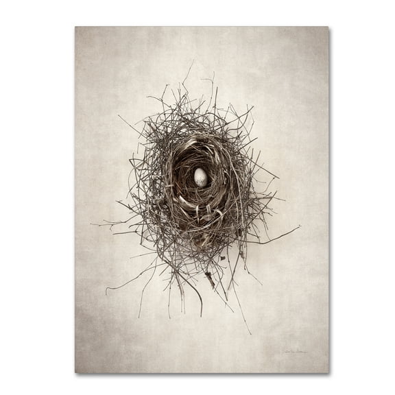 Trademark Fine Art 'Nest I' Canvas Art by Debra Van Swearingen
