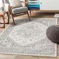 thumbnail image 3 of Mark&Day Area Rugs, 9x12 Chartres Traditional Light Gray Area Rug, Grey Beige White Carpet for Living Room, Bedroom or Kitchen (9' x 12'), 3 of 7