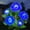 Blue, variant on Syenll Solar Garden Light Outdoor, Solar Flower Lights with 5 Rose Flowers, LED Waterproof Solar Lights for Patio Yard Pathway, Blue