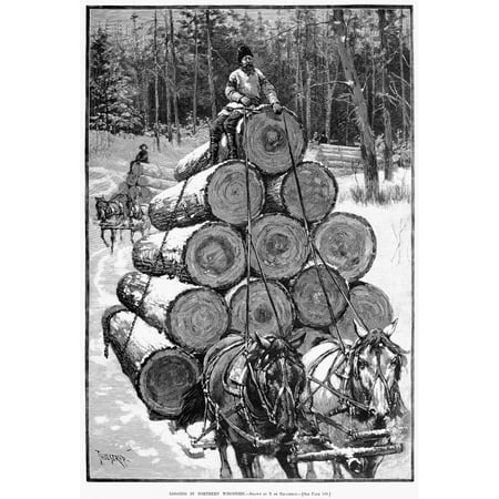 Wisconsin Lumbering 1885 NLogging In Northern Wisconsin Wood Engraving American 1885 After A Drawing By Thure De Thulstrup Rolled Canvas Art -  (24 x