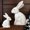 Dark Brown, variant on KGJQ 2Pcs Distressed Rabbit Statue, Vintage Bunny Figurines, Easter Bunny Decorations, Rustic Wooden Rabbit Sculptures for Home Farmhouse Mantel Tabletop Shelf Decor