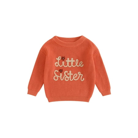 

YiLvUst Toddler Baby Girl s Sister Matching Knit Sweaters Letter Floral Embroidery Long Sleeve Fall Clothes
