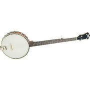 Recording King RK-O25 Madison Open-Back Banjo Maple