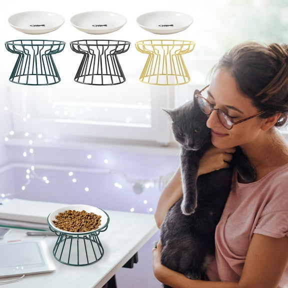 Fnochy Cat Bowls, Elevated Cat Bowl, Raised Ceramic Cat Dish With Metal Stand, Pet Water Or Food Feeding Station For Indoor Cats, Kitten, Puppies And Small Dogs