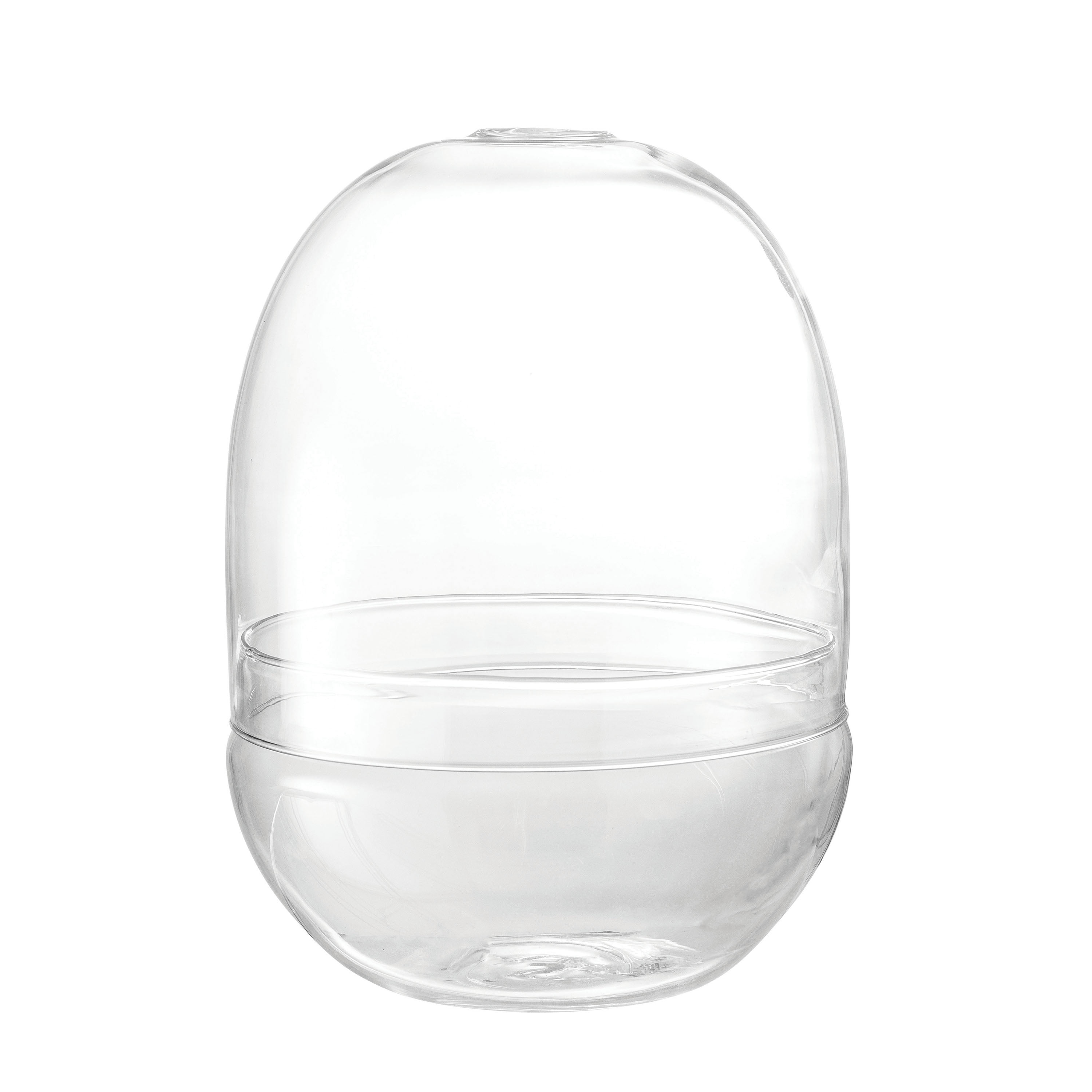 Medium Clear Glass Terrarium