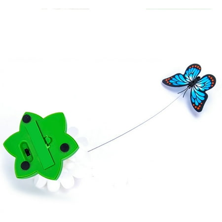 2 Pieces Chat Teaser Baguette Electrique Oiseau Volant Papillon Chat Teaser Jouet Jouet De Jeu Pour Animaux De Compagnie Walmart Canada 2 Pieces Chat Teaser Baguette Electrique Oiseau Volant Papillon Chat Teaser Jouet Jouet De Jeu Pour Animaux De Compagnie Walmart Canada
