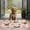 Pug and Donut, variant on Pug and Footprints Door Rugs,Washable Non Slip Door Mats Indoor,Decorative Door Mats,Entry Mat Indoor for Entrance,Bedroom,Kitchen,Bathroom,16"x24"