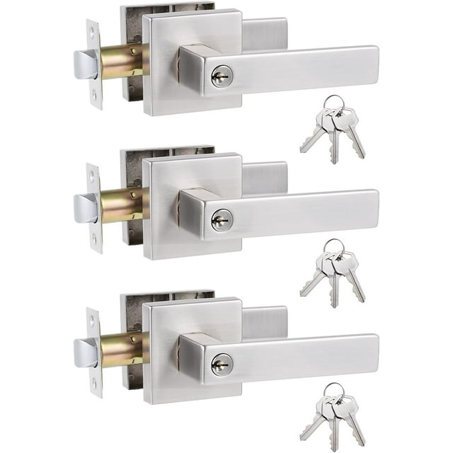 Straight Style Door Lever KeyedAlike Entry Function Door Handle Exterior Interior Entry Lock with Keys Matte Door Handleset