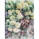 thumbnail image 1 of Cuadro Decorativo - Hermosas flores Jr Impresión en canvas, estrechado., 1 of 1