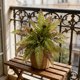 thumbnail image 4 of CaiYueKe Artificial Boston Fern Plants Bushes Fake Shrubs Bush Greenery Plants Faux Fern Plant for Outdoors UV Resistant Garden Plants or Home Office Desk Indoor Decor, 4 of 7