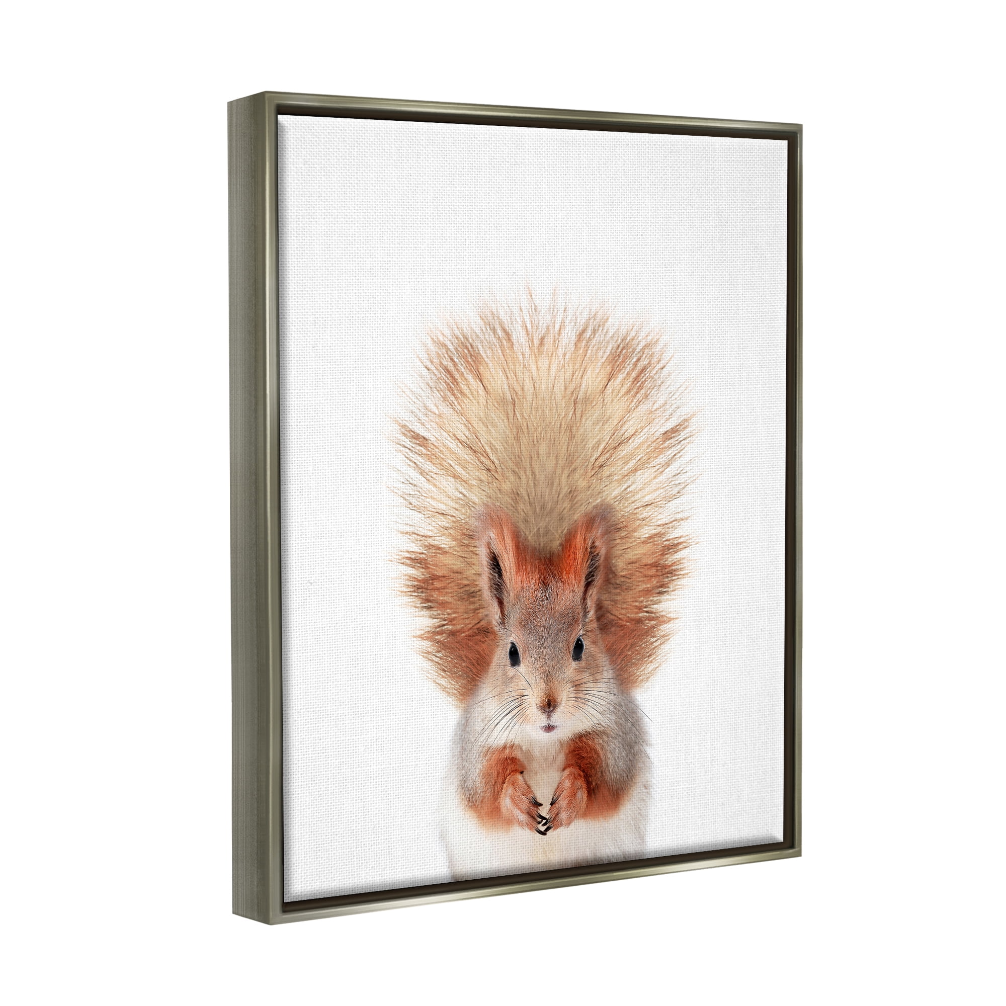 Stupell Industries Squirrel Wildlife Portrait Animals & Insects Painting Gray Floater Framed Art Print Wall Art, 17 x 21