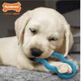 thumbnail image 4 of Juguete masticable para cahorro diseño aro azul Naylabone PuppyChew, 4 of 6