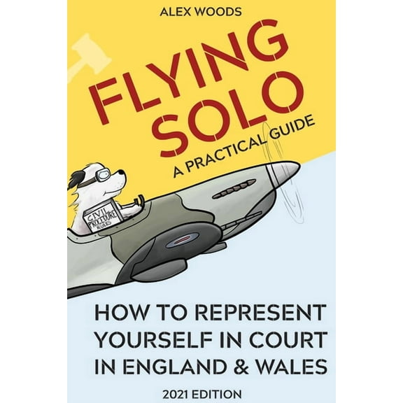 Flying Solo: How to Represent Yourself in Court in England and Wales (Paperback)