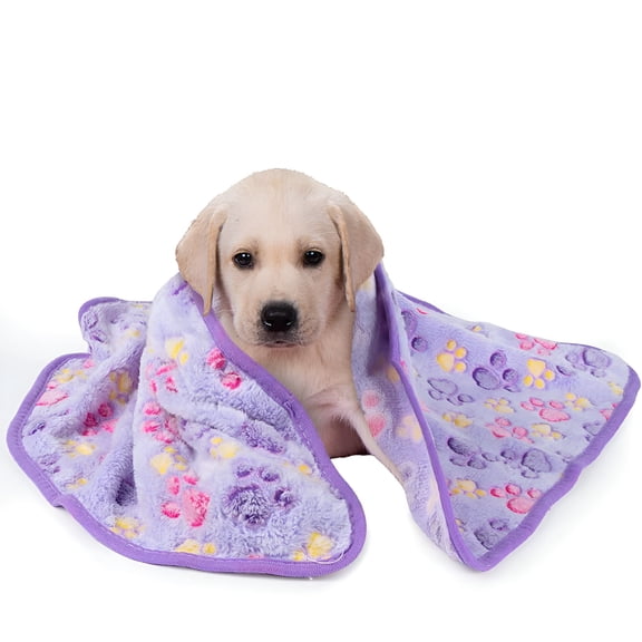 AUQ 3 Pack Cat and Dog Blanket - Soft & Warm Fleece Flannel Pet Blanket, Great Pet Throw for Puppy, Small Dog, Medium Dog & Large Dog (Small)