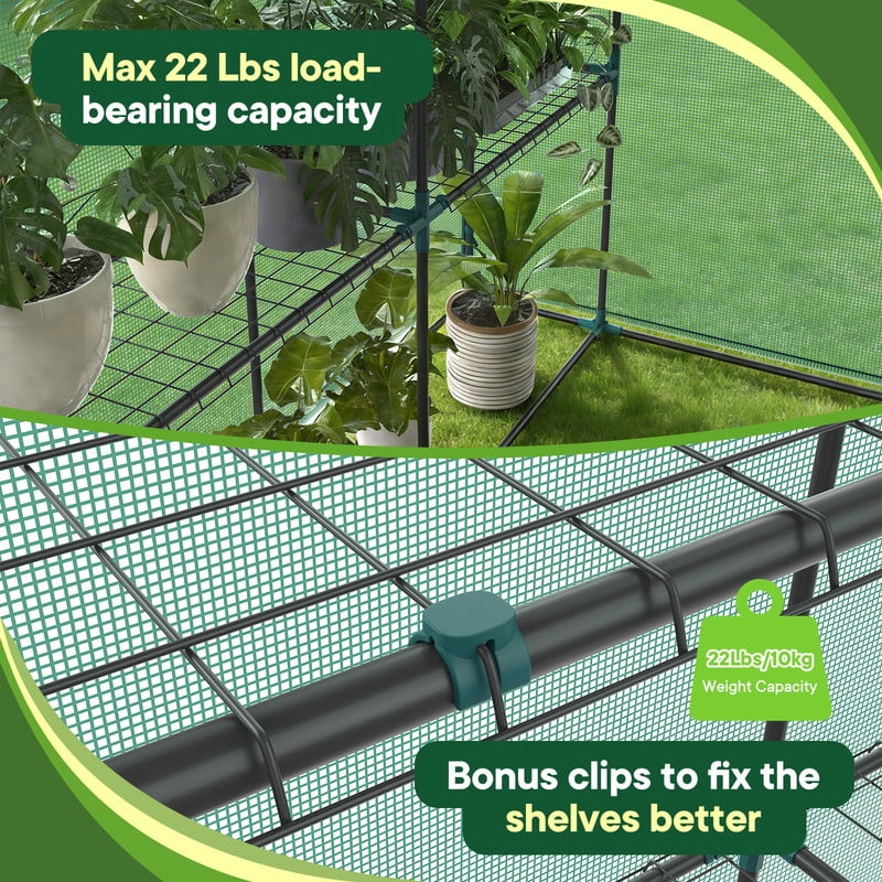 Gianna Mini Walk-in Greenhouse Plant Tent with 5/8" Powder-Coated Steel Frame & 22Lbs Capacity Shelves, Weather-Resistant for Outdoor Gardening, 56.3" x 56.3" x 76.77"，Green