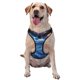 thumbnail image 1 of Fotbe Beautiful Ocean Dolphin Arnés para Perro con Estampado –Chaleco Ajustable Acolchado con Asa de Control para Perros Grandes-Small, 1 of 6