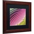 thumbnail image 2 of Trademark Fine Art "Satin II" Canvas Art by Color Bakery Black Matte, Wood Frame, 2 of 4