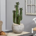 thumbnail image 3 of Nearly Natural 2.5’ Cactus Artificial Plant in Bowl Planter, 3 of 4