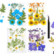 Cumka Pressed Flowers Resin Flowers for Resin Mold, Real Daisy Dried Flower Leaves Natural with Tweezers for Scrapbooking DIY Candle Accessories Jewelry Crafts Making