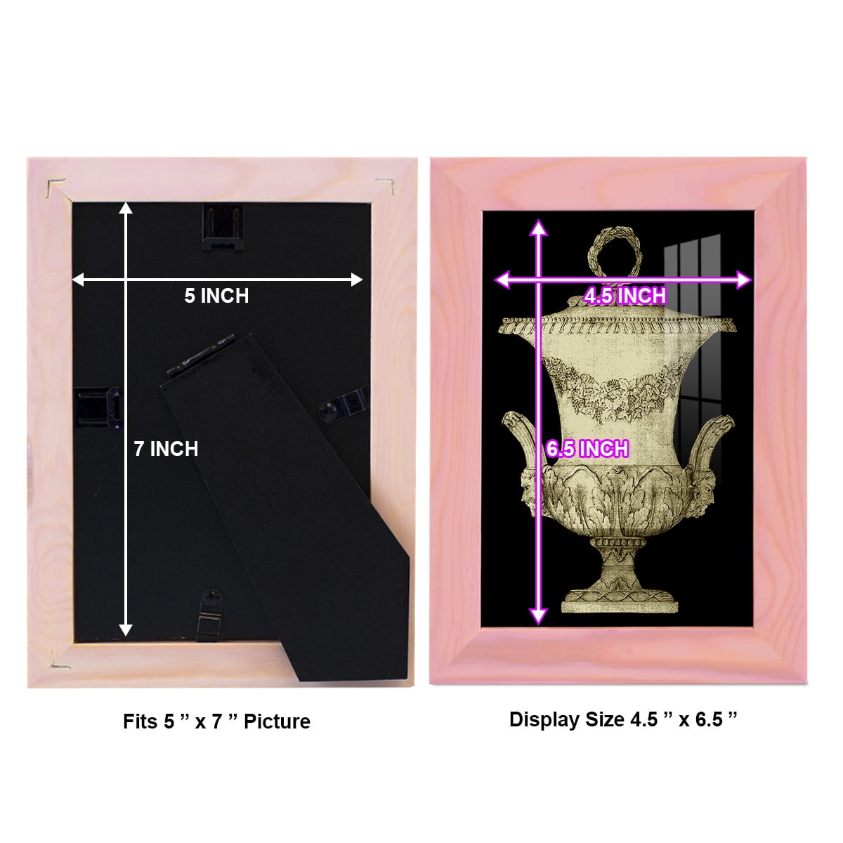 Garden Antiquities III -Framed Print w/glass-Sunset Pink