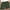 Army Green, variant on Big Savings! Womens Comfy Drawstring Color Casual Elastic Waist Pocket Shorts Pants