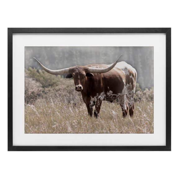 Stupell Industries Rustic Lodge Texas Longhorn Photograph Black Framed Print Under Glass, 20 x 14, by Carol Robinson