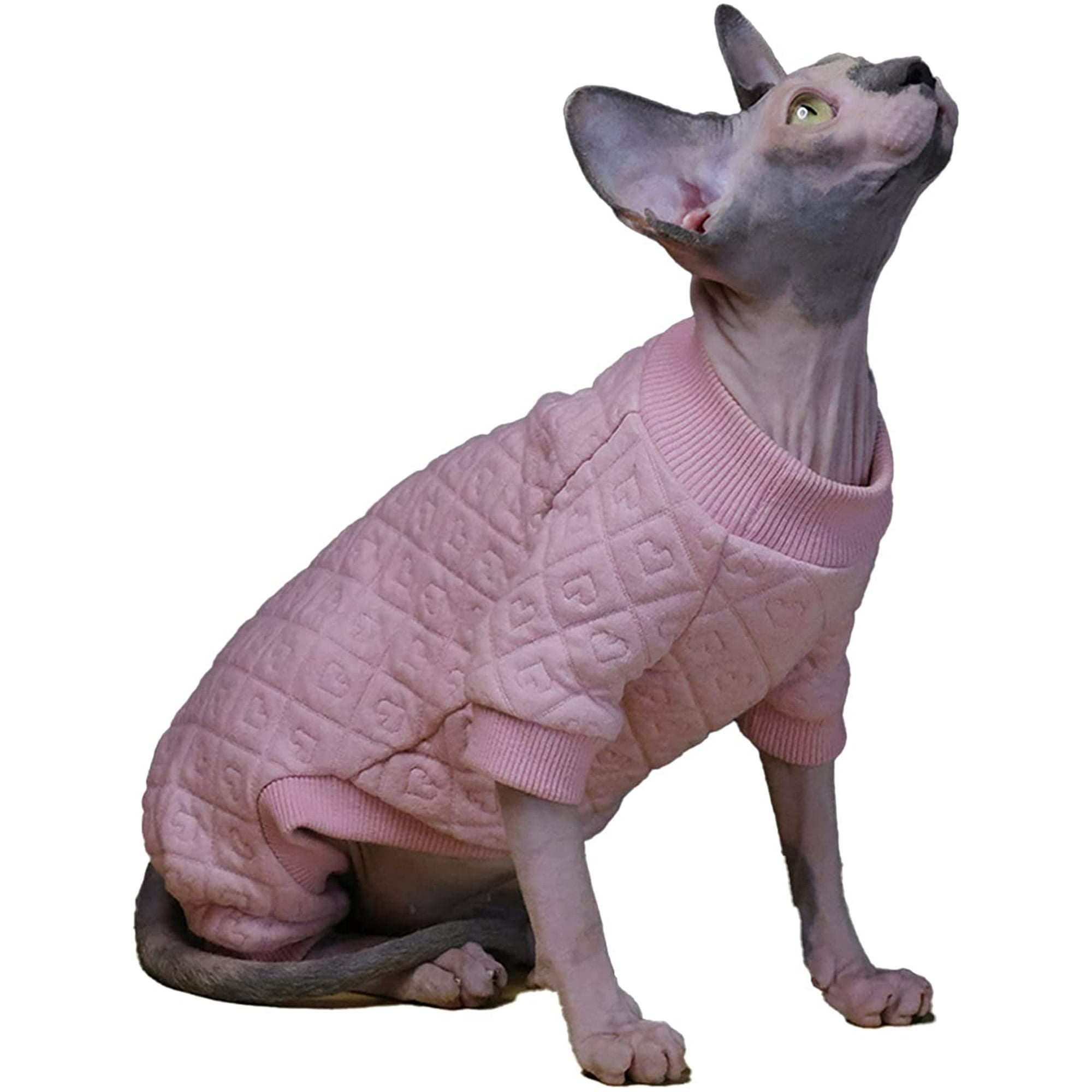 Pull chat sphynx hotsell