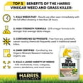 thumbnail image 6 of Harris VWEED-128 1 gal 20 Percentange Vinegar Weed Killer, 6 of 7