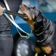 thumbnail image 4 of 2x Palos profesionales para perros sin mordeduras, protección interactiva que de forma segura, palos masticables para perros de, 4 of 8