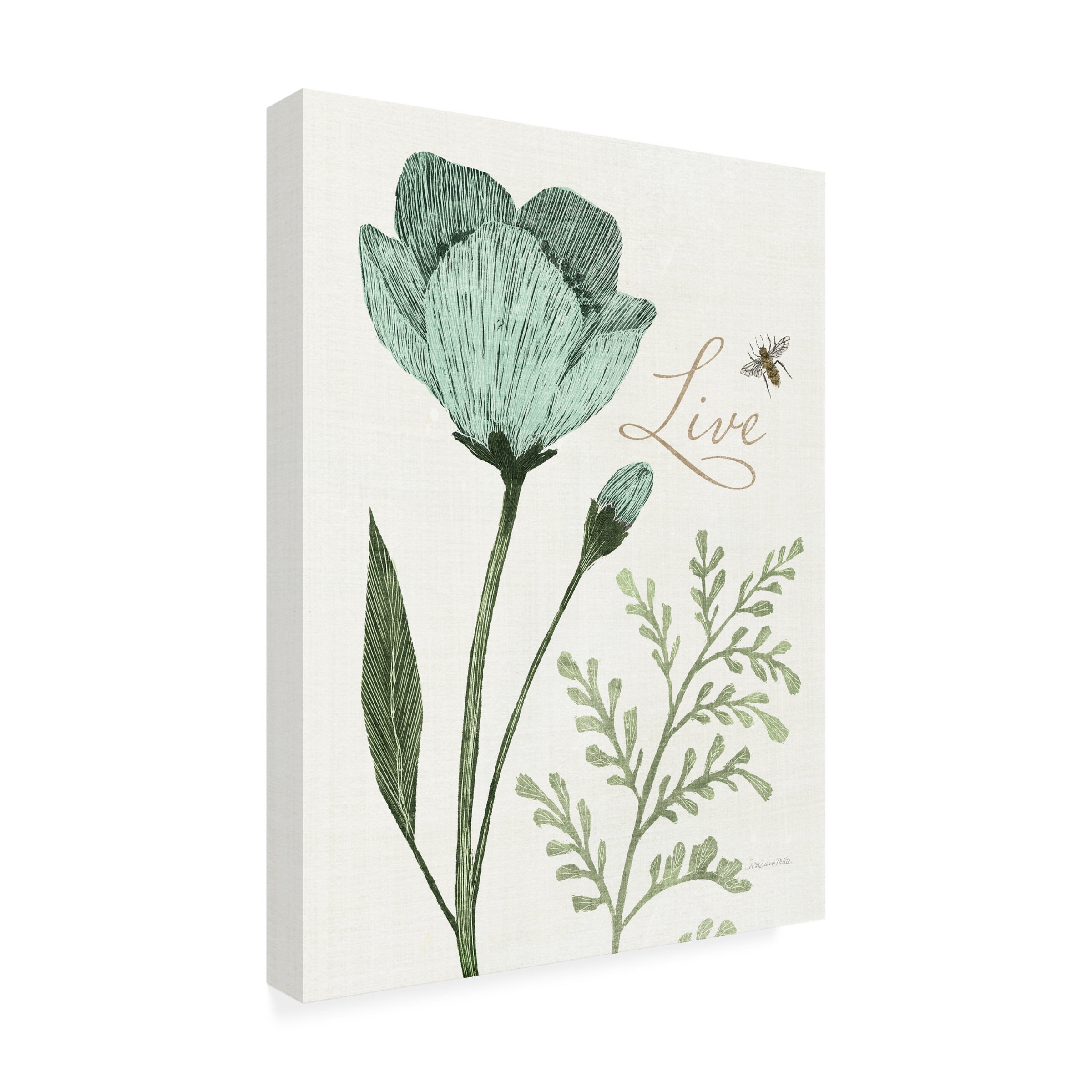 Sara Zieve Miller 'Springtime I' Canvas Art