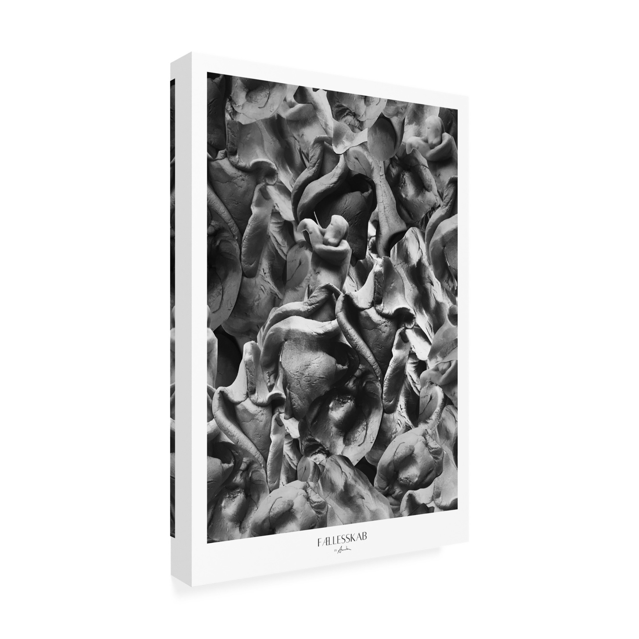 Trademark Fine Art Annika John FAbllesskab Canvas Wall Art