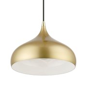 41172-33 Livex Lighting Amador - 1 Light Pendant In Transitional Style-15 Inches Tall and 11.75 Inches Wide -Traditional Installation