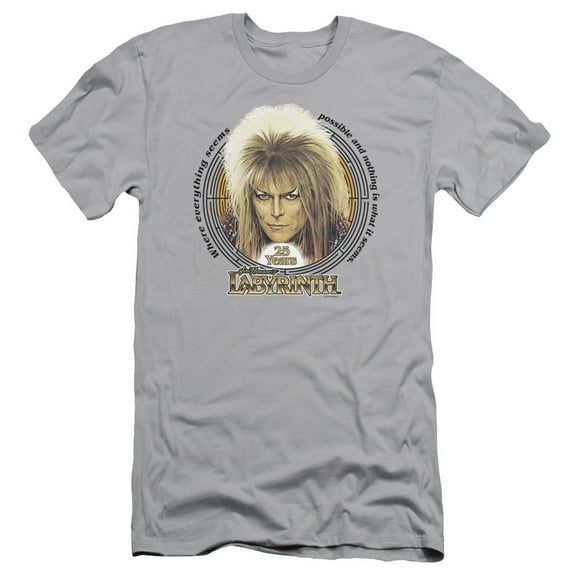 Labyrinth 25 Years S/S Adult 30/1 T-Shirt Silver