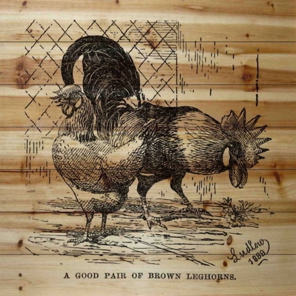 Marmont Hill 'Brown Leghorns' Graphic Art Print on Wood