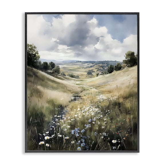 Stupell Industries Farmhouse Floral Valley of Wild Daisies Black Framed Giclee Art, 11 x 14, by Franklyn Gregory