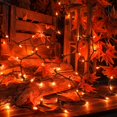 thumbnail image 2 of Cadena de luces Hopolon Orange para Acción de Gracias, 13 pies, 50 quilates, x2, 2 of 7