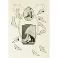 thumbnail image 2 of Anonymous 14x18 Gold Ornate Wood Frame and Double Matted Museum Art Print Titled - Smart Shoes that Are in Step with Fashion (1919), 2 of 4