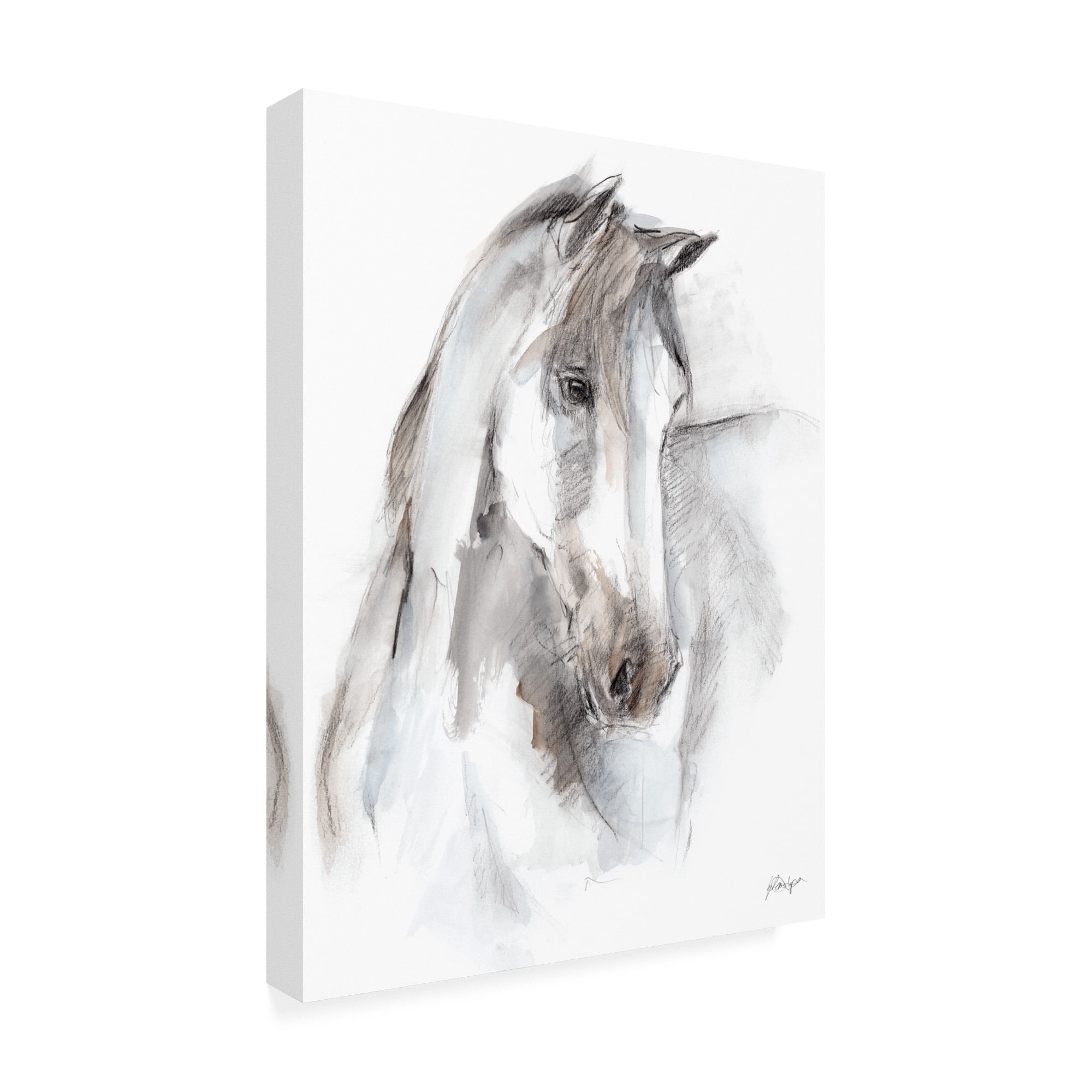 Trademark Fine Art 'Watercolor Equine Study I' Canvas Art by Ethan Harper