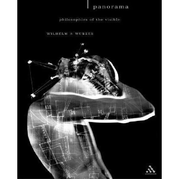 Panorama: Philosophies of the Visible (Textures: Philosophy, Literature, Culture)