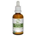 thumbnail image 1 of St-Francis - Dandelion, 50ml, 1 of 5